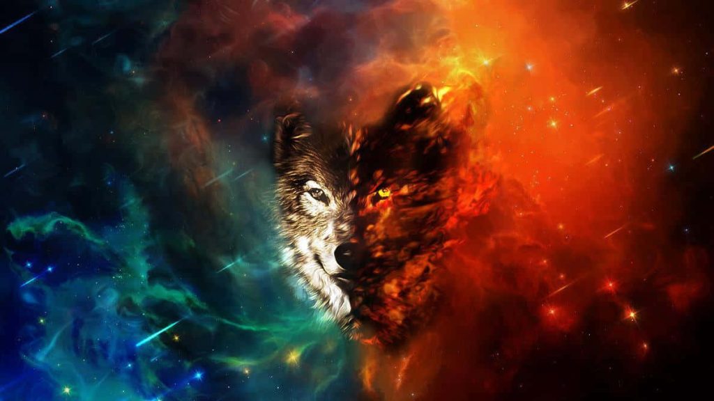 Fierce wolf digital art with cosmic nebula and fiery inferno split face wallpaper background