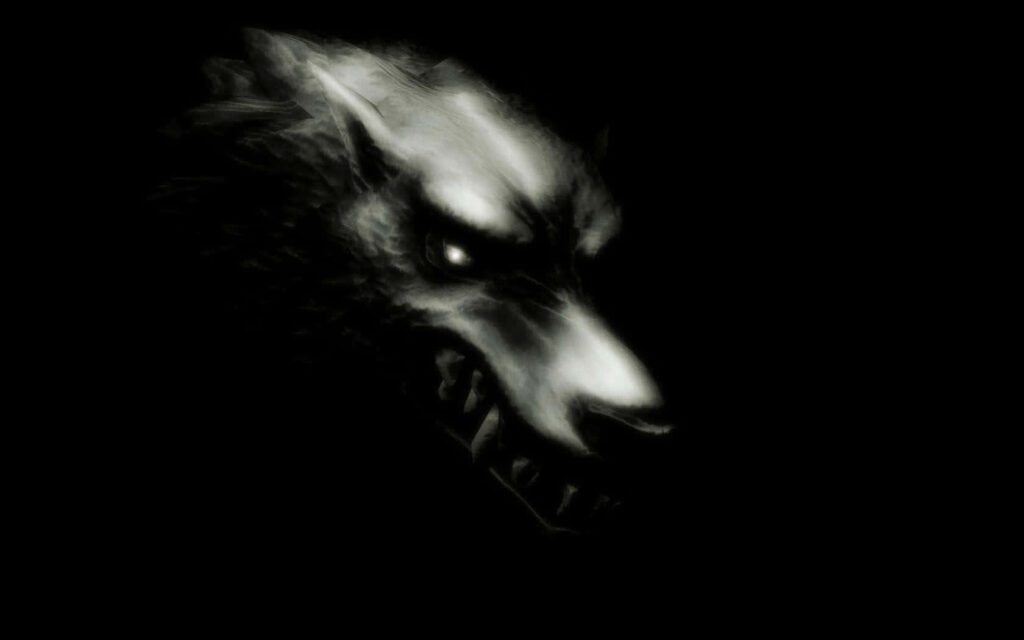 Fierce Wolf Wallpaper: Intense Expression Against Dark Background