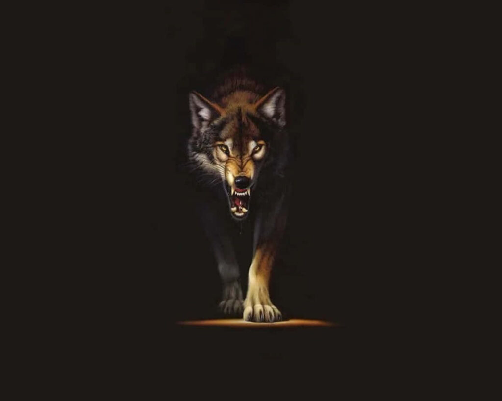Fierce Wolf Wallpaper: Power & Courage in Dark Background