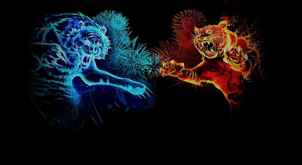 Fierce Blue and Red Tigers Wallpaper on Dark Background