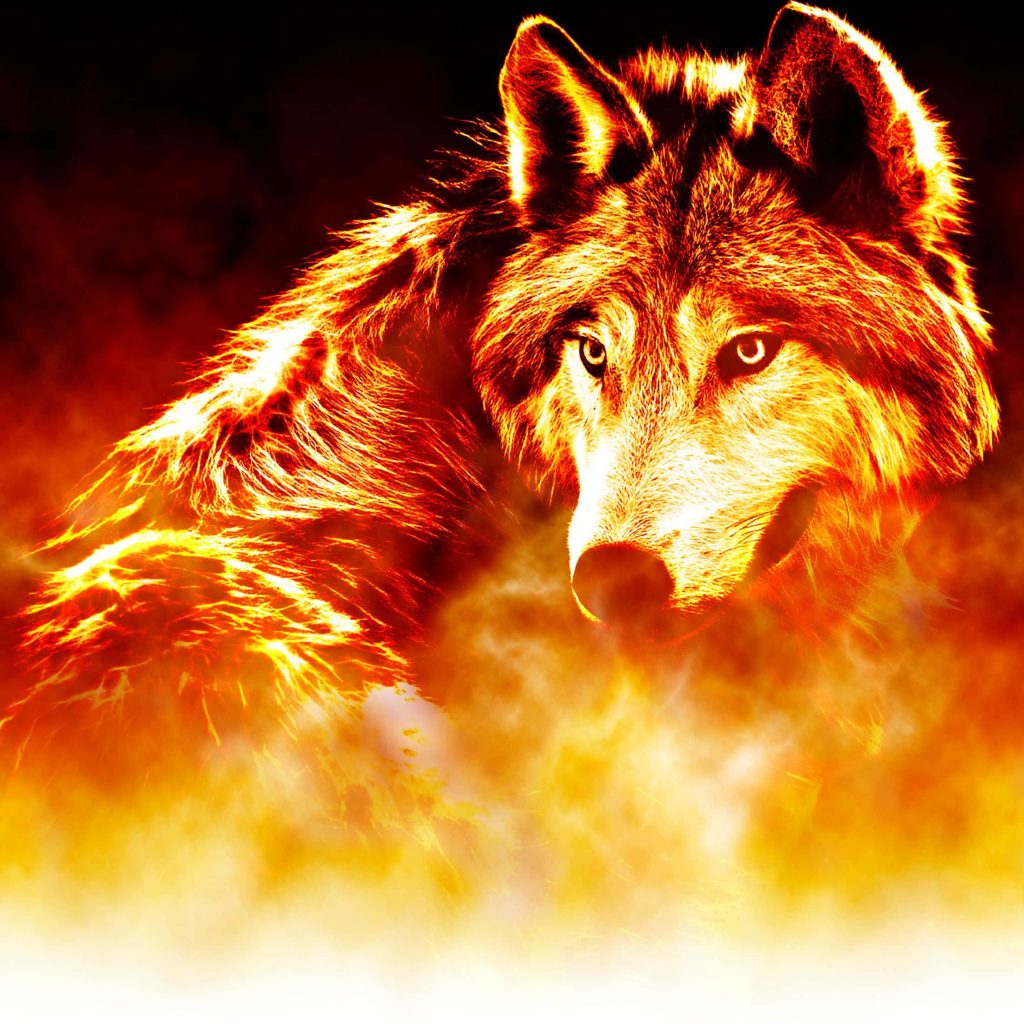 Majestic wolf surrounded by blazing flames with intense fiery orange red digital art wallpaper