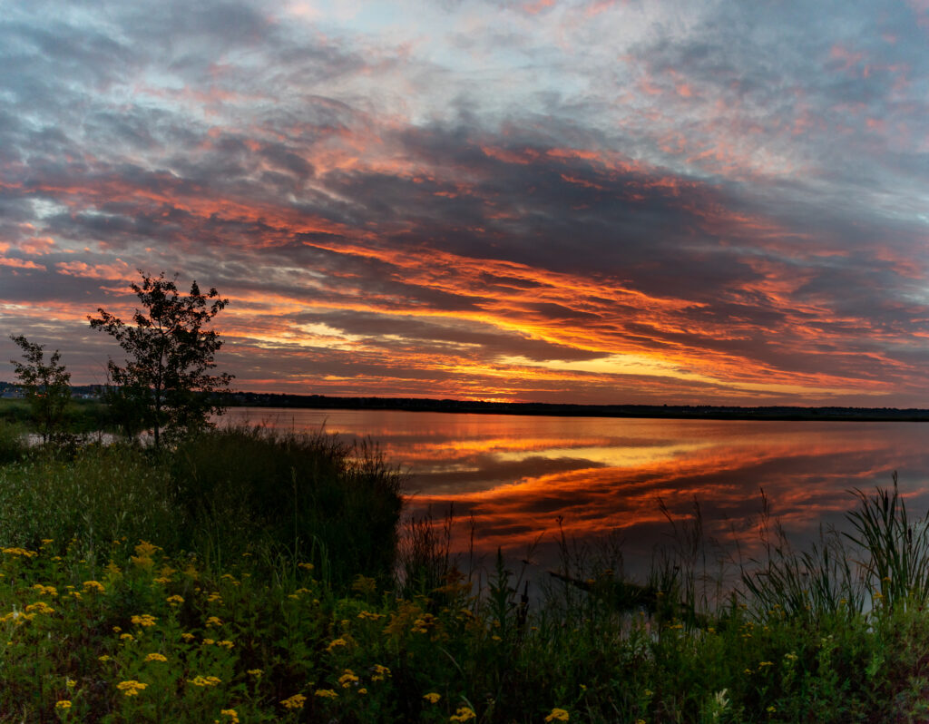 Fiery orange red sunset over calm water with wildflowers bushes and dramatic clouds landscape wallpaper