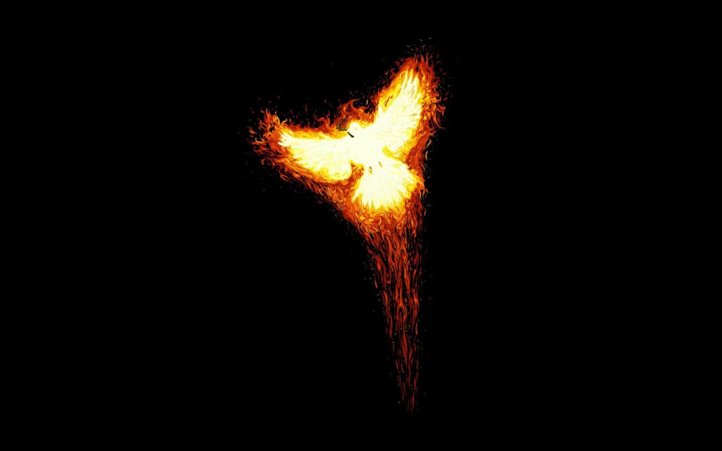 Fiery Phoenix Rising: Minimalist Mythical Wallpaper 2560x1600
