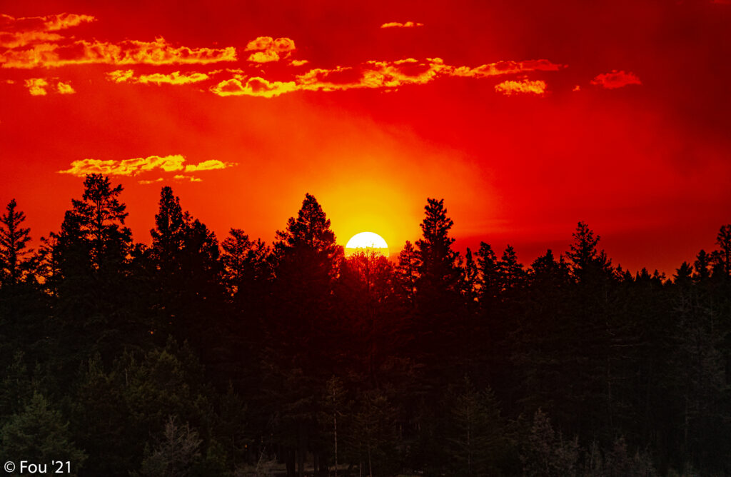 Fiery red sunset with forest tree silhouettes creating a dramatic moody wallpaper background