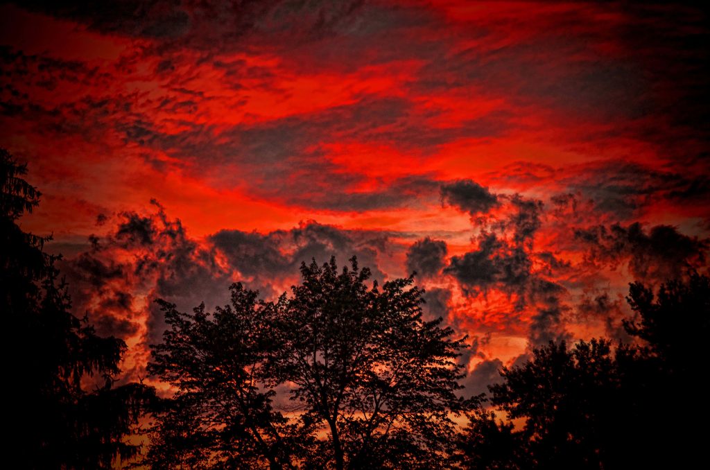 Fiery red sunset with dark tree silhouettes and glowing crimson clouds dramatic twilight sky Wallpaper