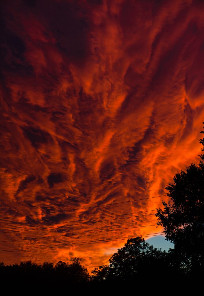 Fiery orange red sunset clouds over dark tree silhouettes vibrant dramatic natural sky background Wallpaper