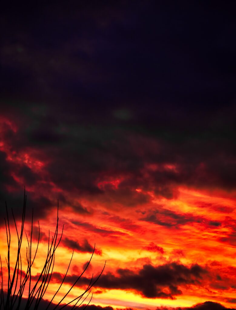 Fiery sunset sky with vivid orange and red clouds behind dark bare tree branches silhouette Wallpaper