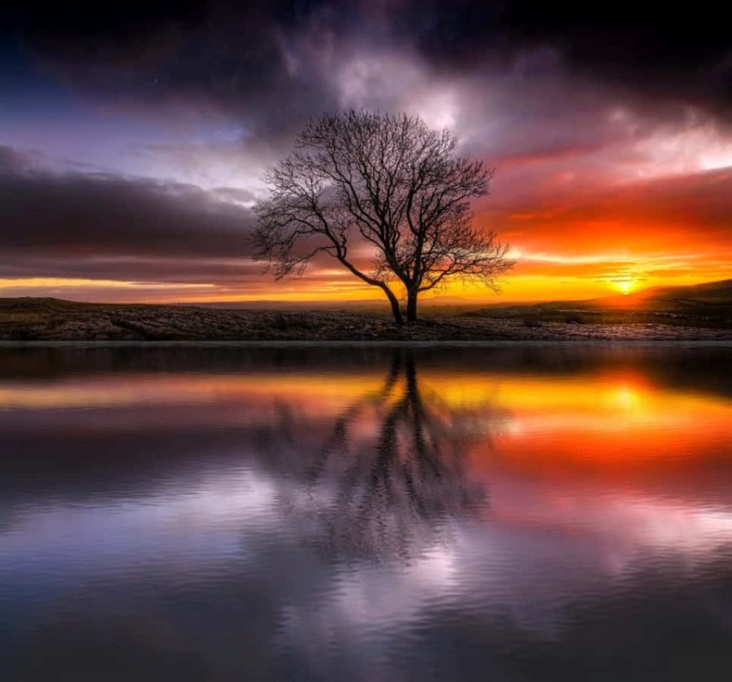 Leafless tree silhouette reflected in calm water under vibrant fiery sunset with moody clouds Wallpaper