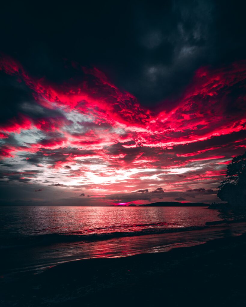 Dramatic sunset over calm sea with fiery clouds and tree silhouette wallpaper background