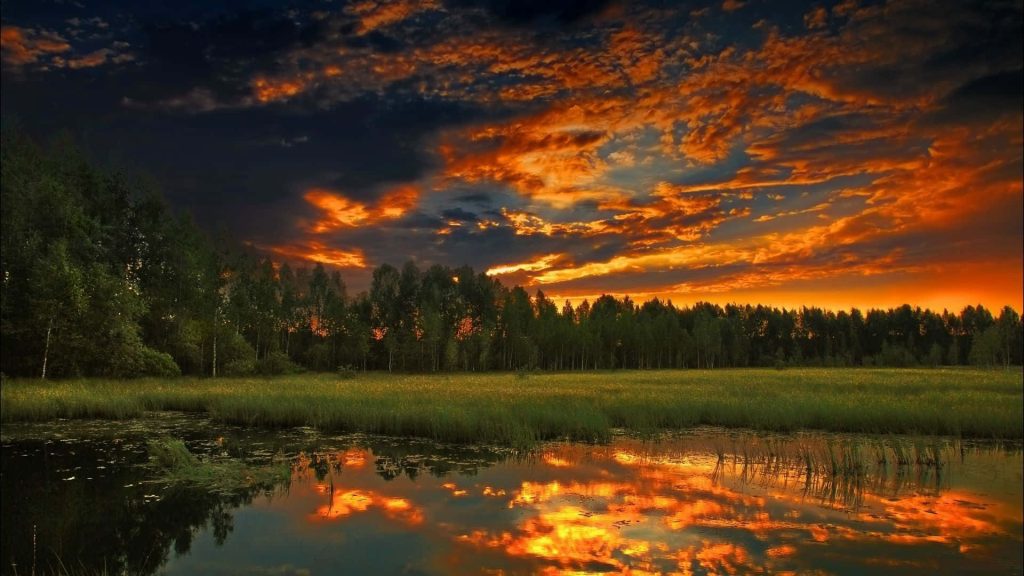 Fiery sunset over calm marshland with vibrant orange clouds reflecting on water and forest line Wallpaper