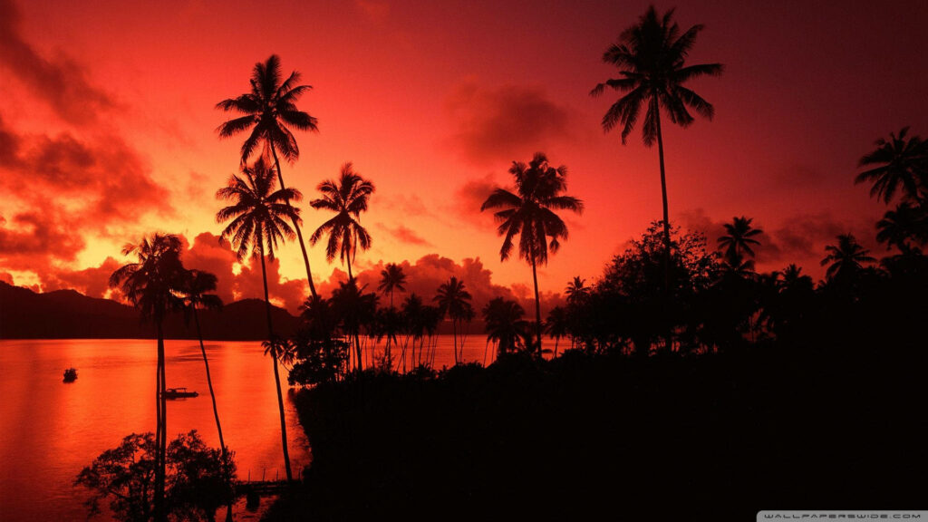 Fiji sunset at Matagi Island with palm tree silhouettes and vibrant orange sky over calm waters Wallpaper