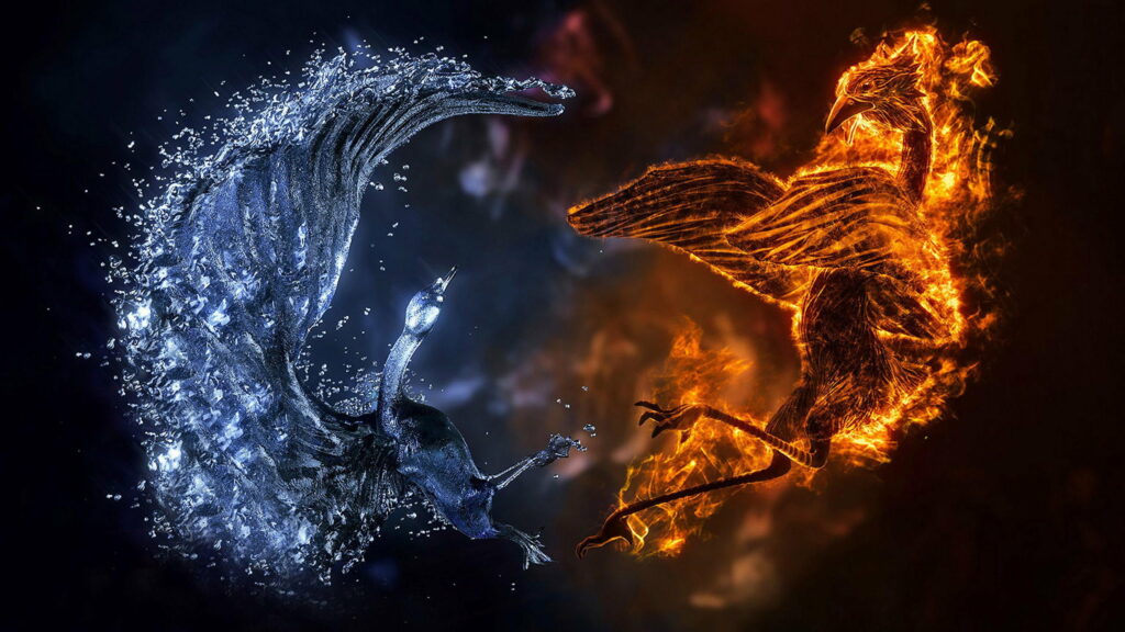 Burning Harmony: A Majestic Phoenix in Fiery Ice Dance Wallpaper