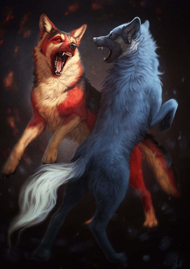 Dynamic Fire and Water Wolves Wallpaper: A Bold Elemental Contrast
