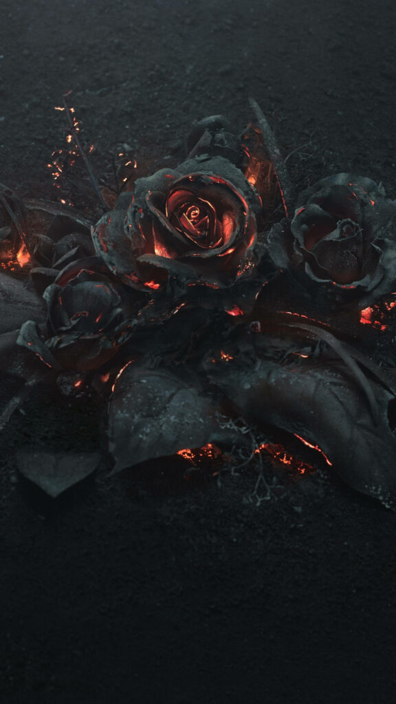 Fiery Beauty: 4K Ultra iPhone Background of Charred Roses Blossoming in Flames Wallpaper