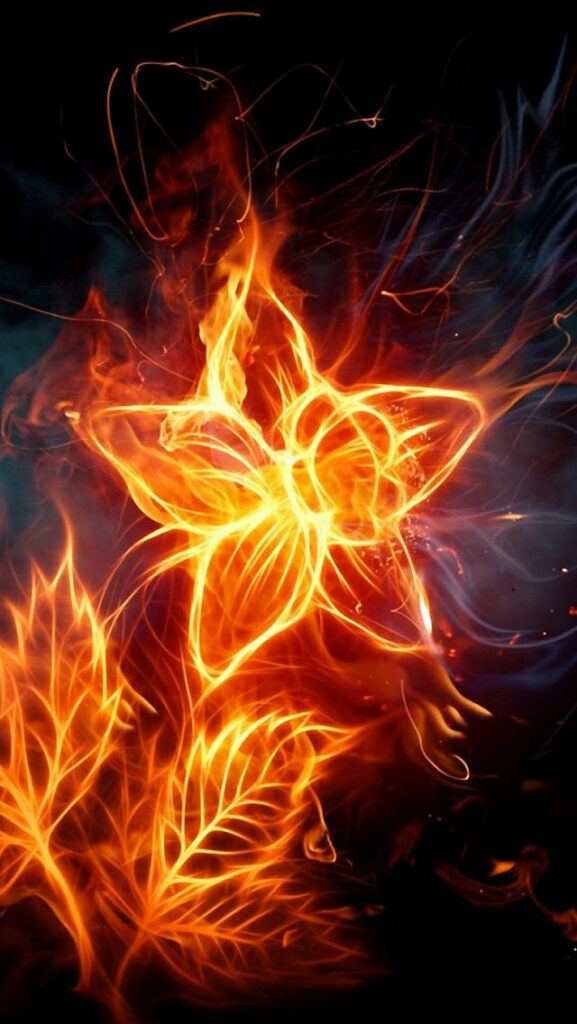 Blazing Beauty: Captivating iPhone Wallpaper with Fiery Star Flower Art