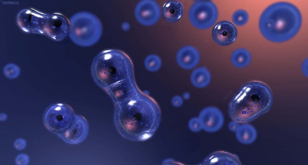 CGI illustration of translucent blue biological cells with nuclei and mitosis floating in microscopic view Wallpaper