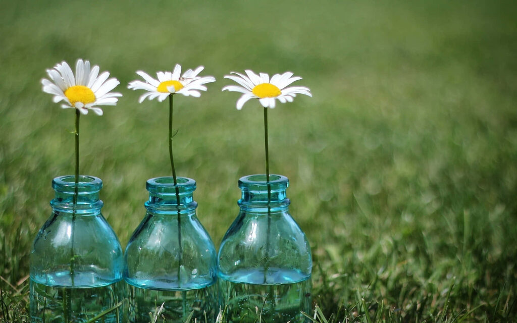 Floral Daisy Wallpaper: Transform Your Workstation with Green Bliss