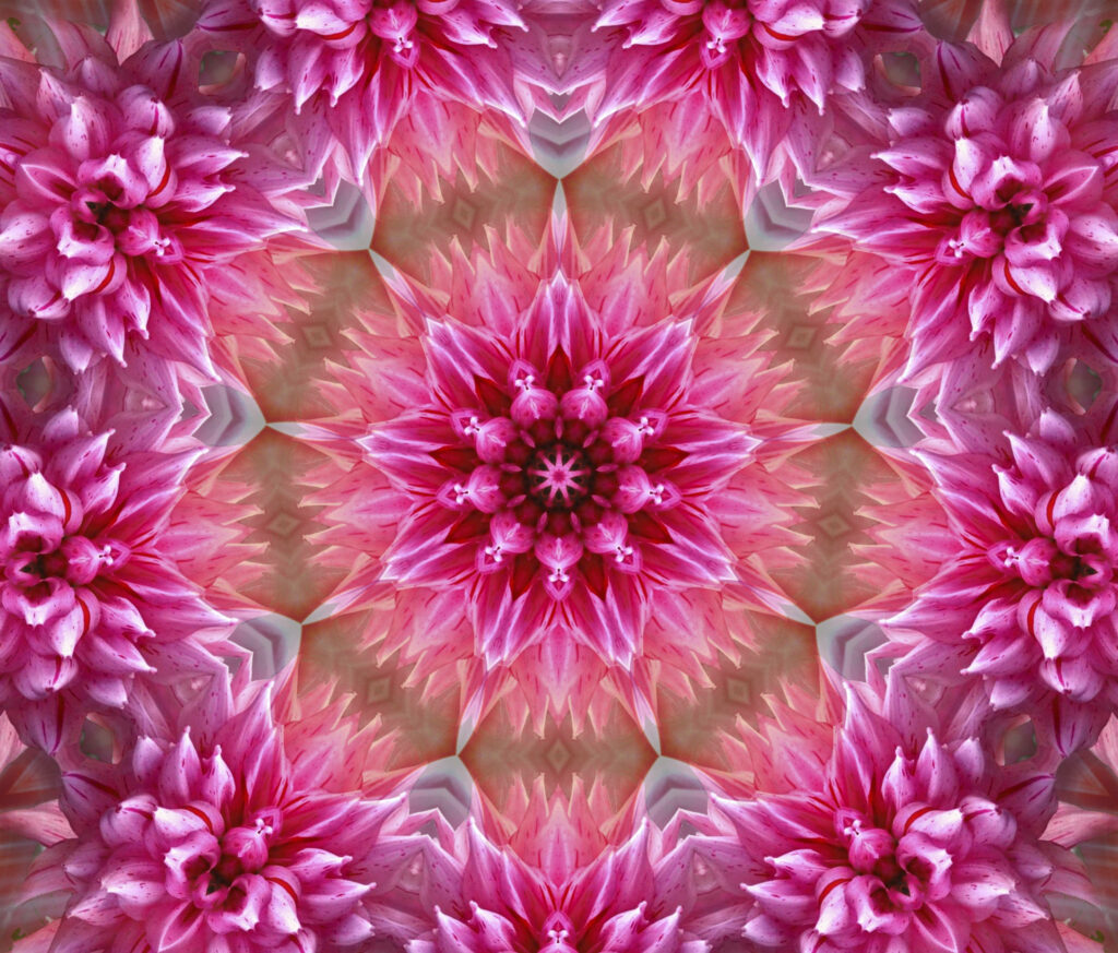 Floral Abstract: Delicate Pink Blossoms in a Lively Background Wallpaper