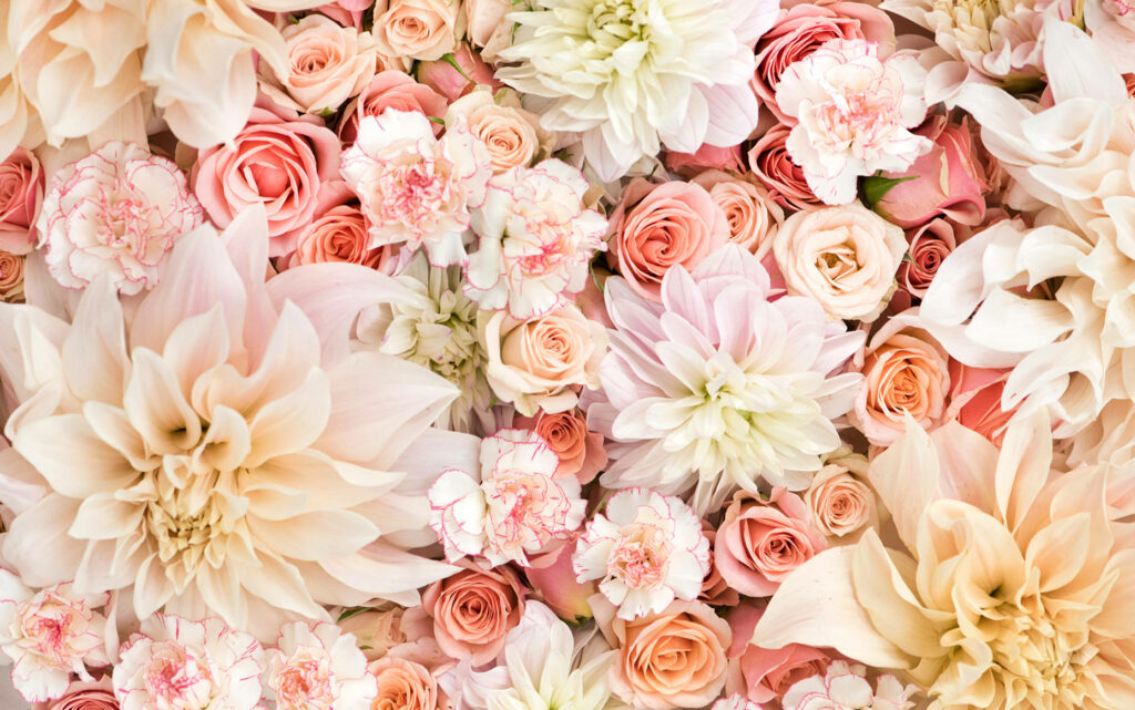 Pastel Harmony: Vibrant Dahlias, Roses, and Carnations Adorn Computer Wallpaper in Delightful Aesthetic Style