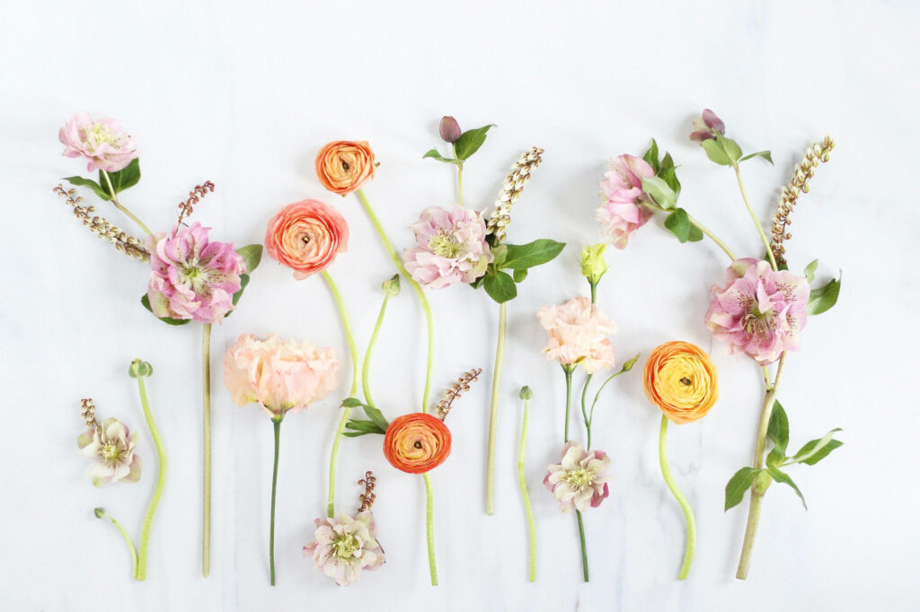 Bursting Blooms: A Vibrant Array of Charming Spring Flowers Displayed on a Pristine White Canvas Wallpaper