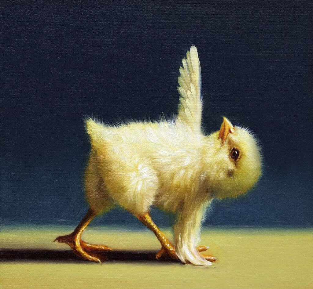 Fluffy Baby Chick Yoga Wallpaper: Playful Stretching Moment