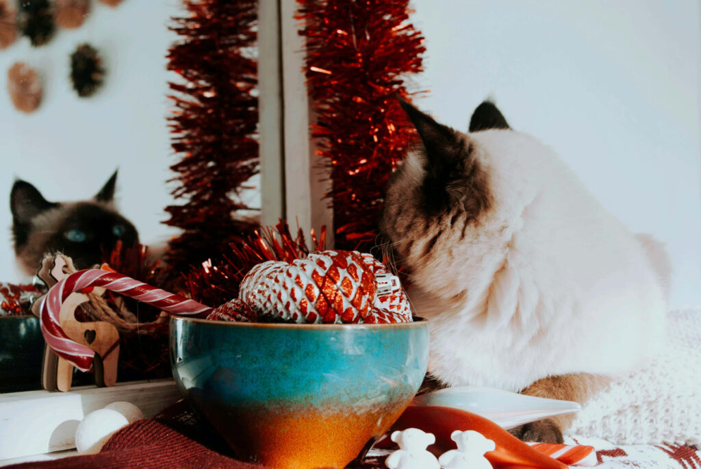 Fluffy Cat with Holiday Ornaments & Sparkling Tinsel Wallpaper