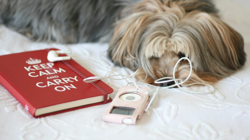 Charming Cozy Background: Fluffy Dog, Book & Music Player Scene Wallpaper