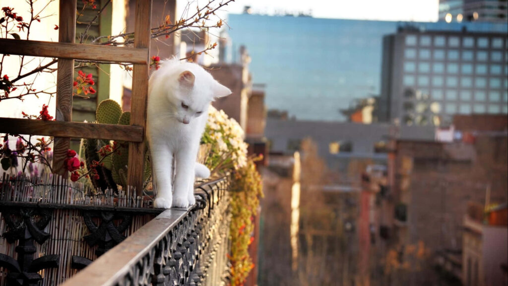Fluffy White Cat Balancing on Railing in Lush Urban Garden Wallpaper