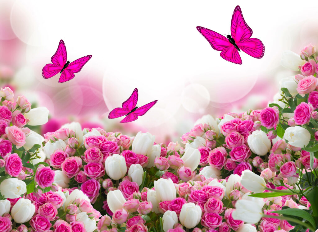 Enchanting Spring Blossoms: A Delightful Pink Butterfly Paradise Wallpaper