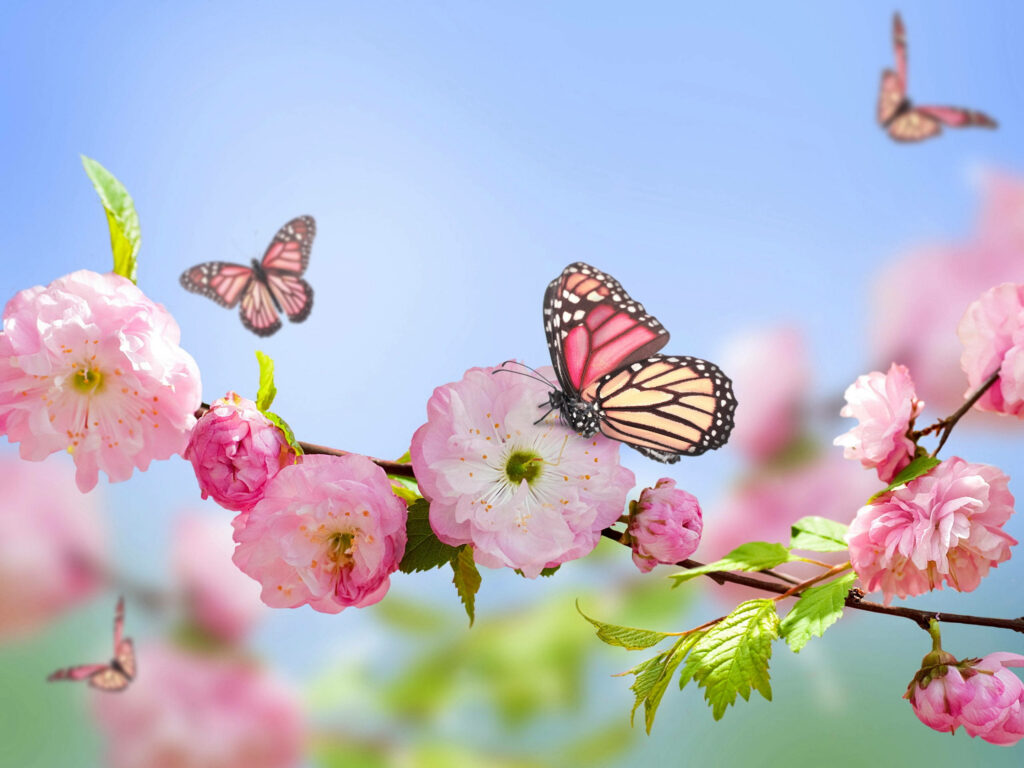 Serene Garden Fantasy: Delicate Pink Butterflies Dancing Amidst Blushing Floral Canopy Wallpaper