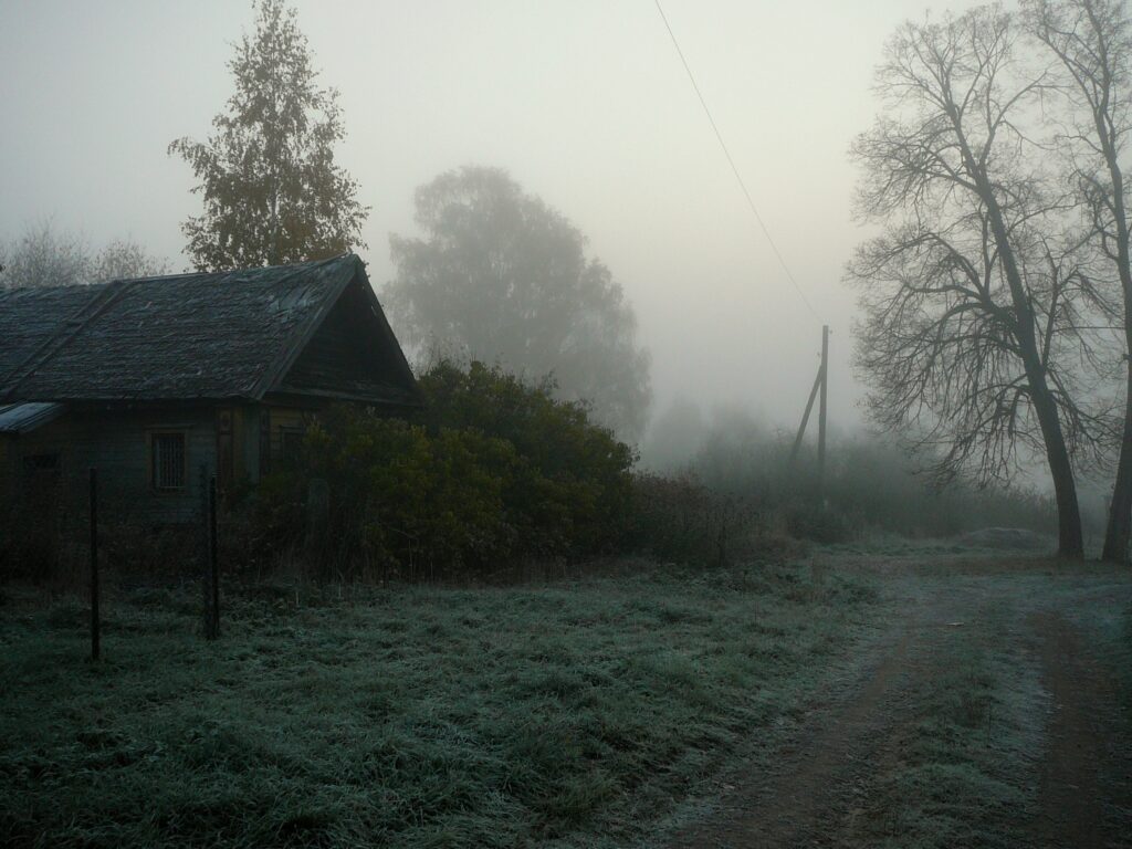 Foggy rural road beside weathered house bare trees overgrown bushes gloomy landscape wallpaper