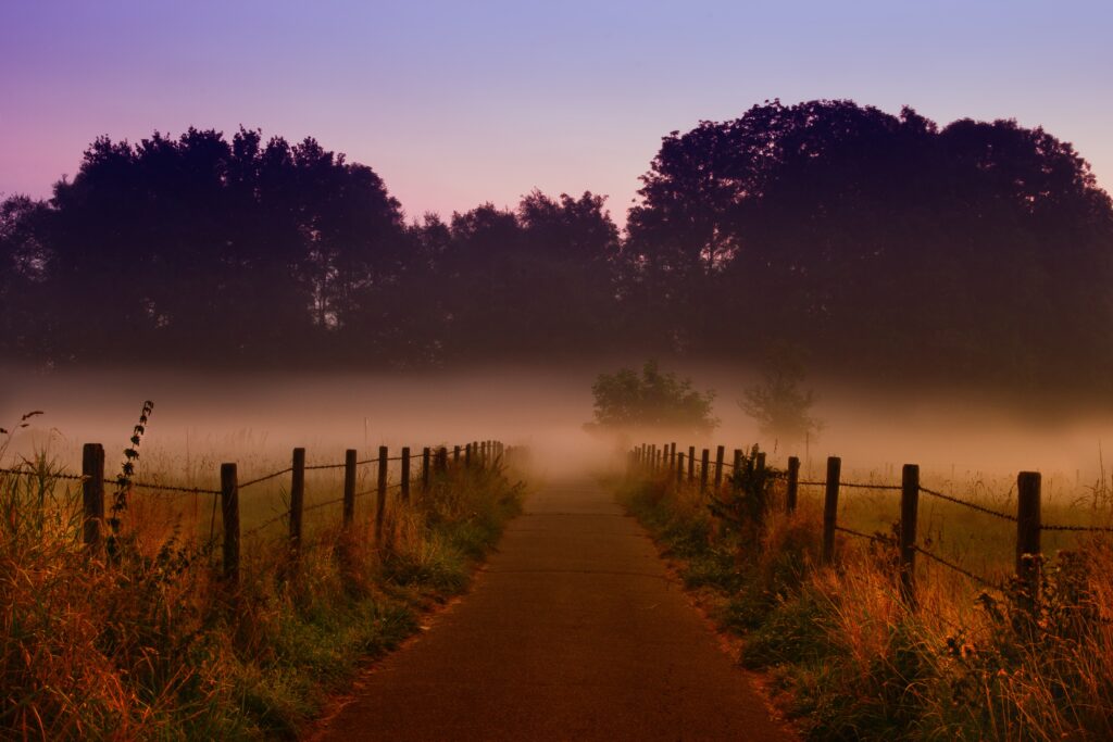Foggy dawn path between fields with wooden fences tall grasses and pastel sky wallpaper background