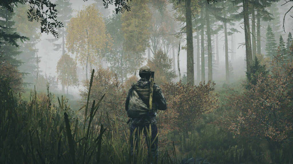 Silent Solitude: Pensive Explorer In The Enigmatic Depths of 'Search DayZ' Wallpaper