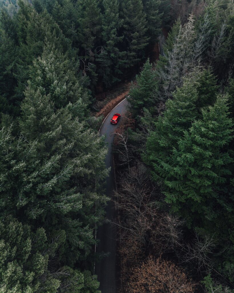 Aerial view of winding road through foggy evergreen forest with a vibrant red car driving alone Wallpaper