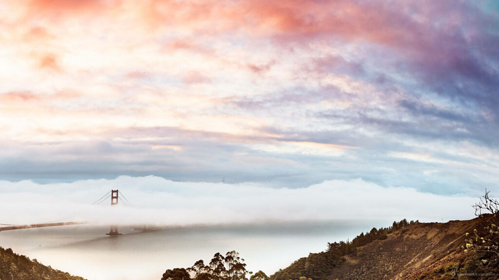Golden Gate Bridge rising through San Francisco fog at sunset with pastel sky wallpaper background