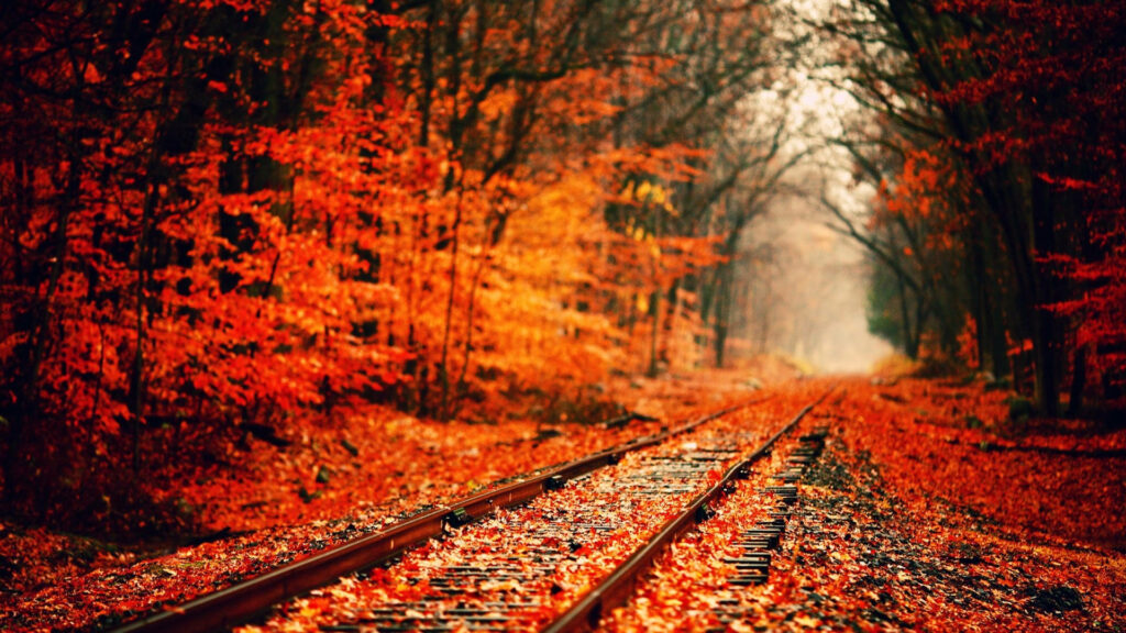 Autumn Splendor: Vibrant Foliage Adorns Railway in Hyperfocus Wallpaper