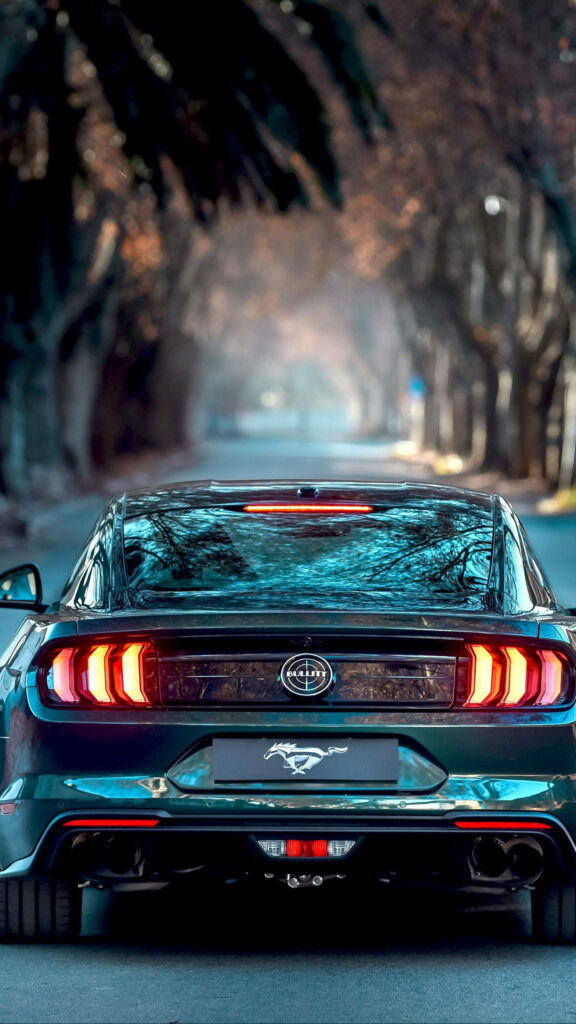 Rear view of Ford Mustang Bullitt on tree-lined road showcasing taillights and emblem for wallpaper