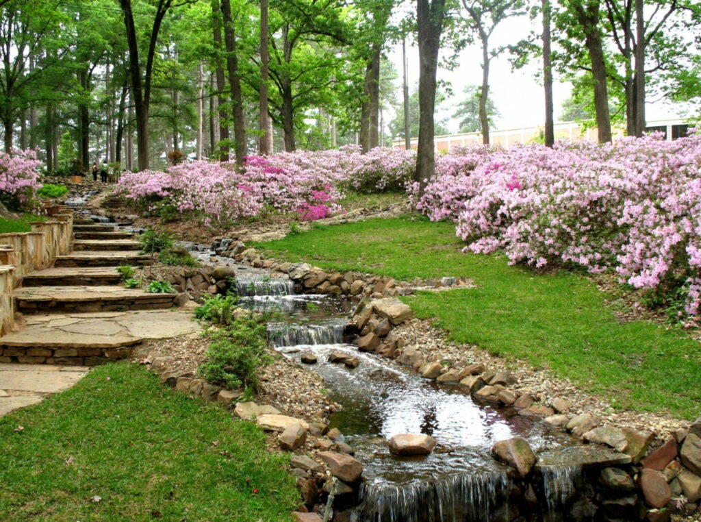 Blooming Beauty: Captivating Spring Scenery of the Park's Enchanting Garden – HD Wallpapers Background