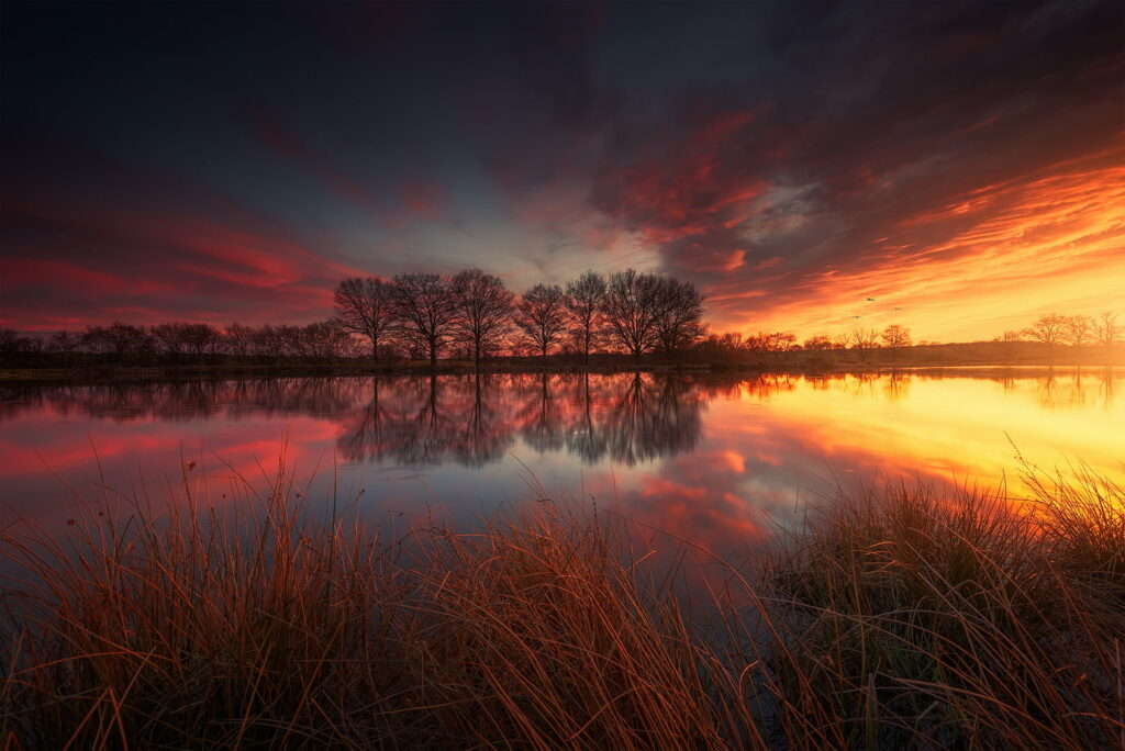 Serene Spring Landscape: Flourishing French Lake amidst Lush Green Grass Wallpaper