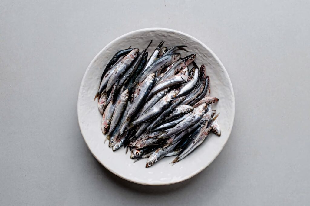 Fresh anchovies on white plate on light gray surface minimalistic anchovy wallpaper background