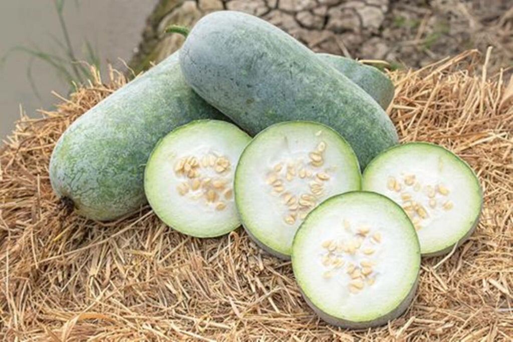 Rustic Wallpaper: Fresh Ash Gourd with Natural Texture & Seed Details