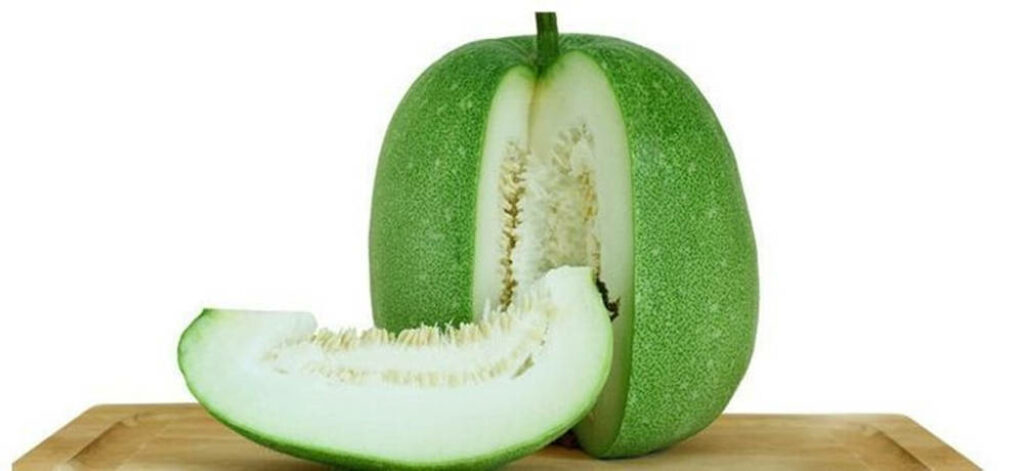 Fresh Ash Gourd Wallpaper: Sliced Winter Melon on Neutral Background