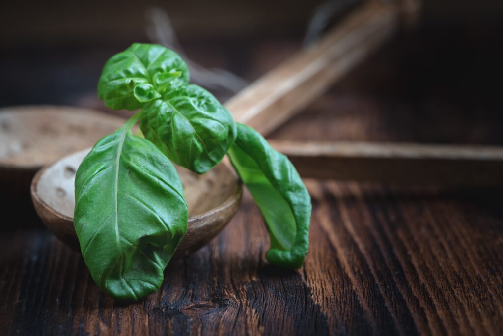 Fresh Basil Leaves on Rustic Spoons - Kitchen-Inspired Wallpaper