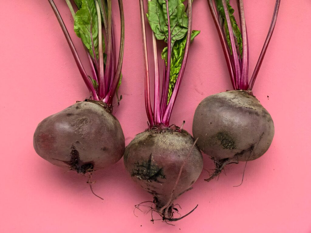 Three fresh beetroot vegetables with green tops on soft pink background wallpaper background