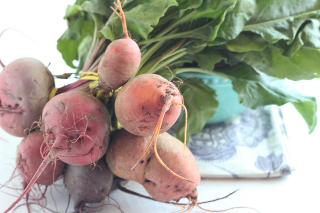 Fresh bundle of vibrant beetroots with leafy tops showing earthy roots on soft background Wallpaper