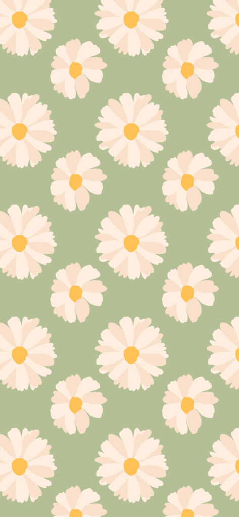 Dainty Daisies: A Refreshing Spring iPhone Wallpaper