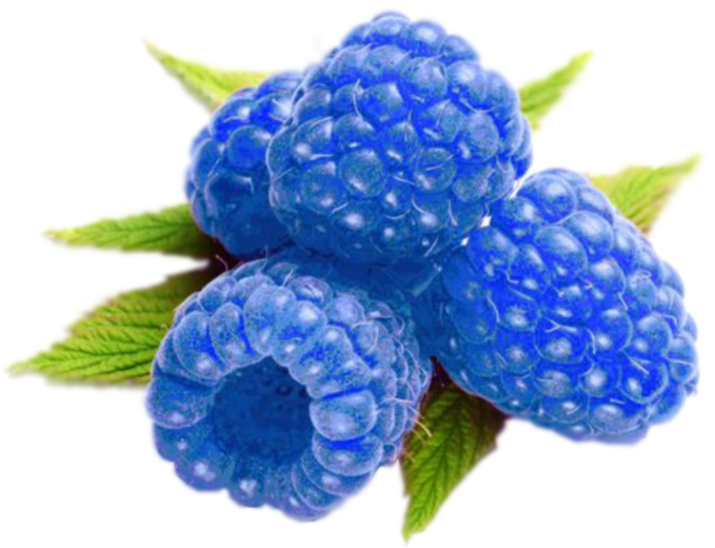 Fresh Blue Raspberries with Green Leaves - Versatile Wallpaper Background