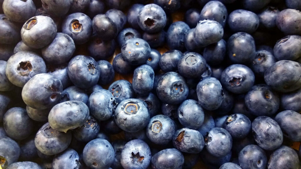 Close-up of fresh vibrant blueberries highlighting natural freshness perfect for wallpaper background