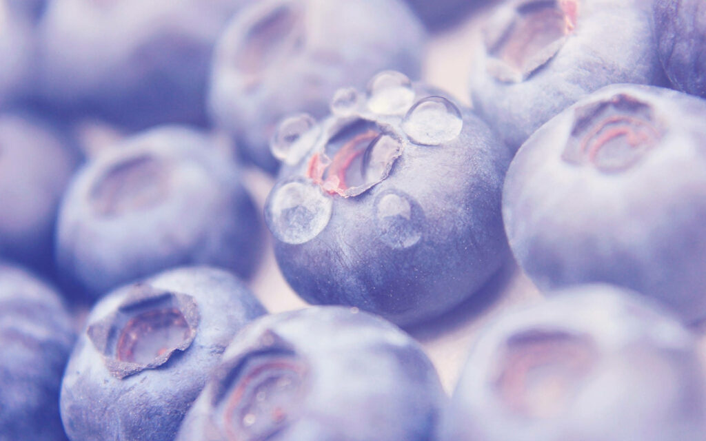 Fresh blueberries with glistening dewdrops close up vibrant natural wallpaper background