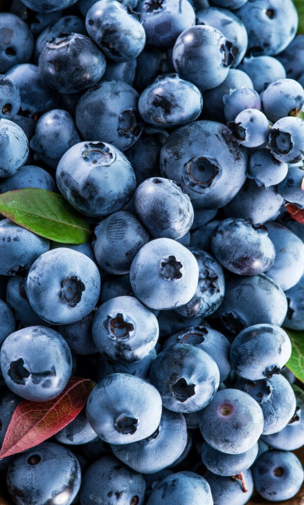 Vibrant Blueberry Wallpaper: Fresh Healthy Texture & Green Accents